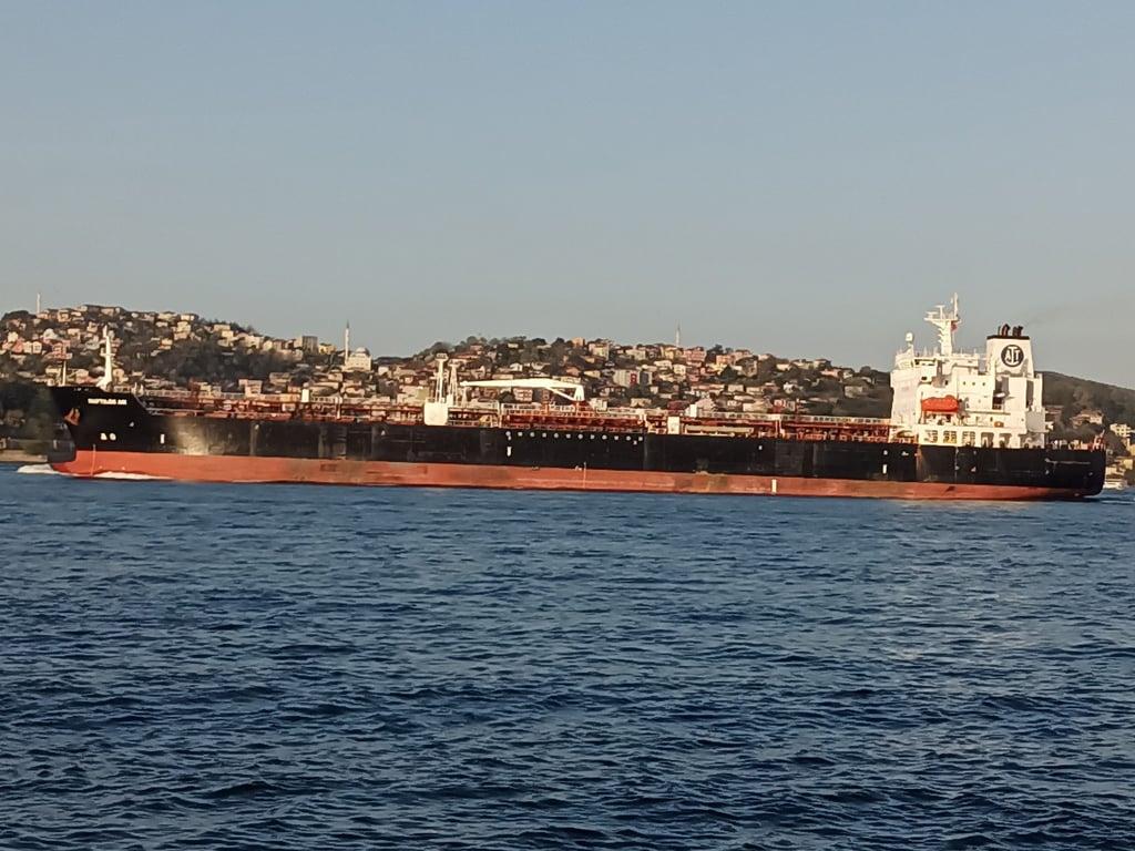 Yeniköy Kaşıbeyaz Bosphorus fotoğraf 1