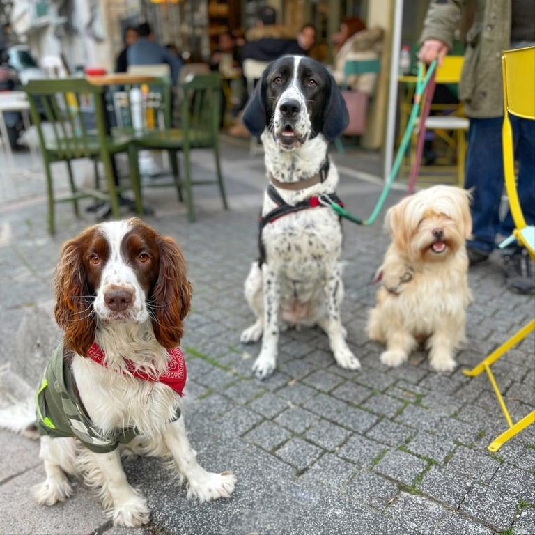 An Moda Cafe fotoğraf 4