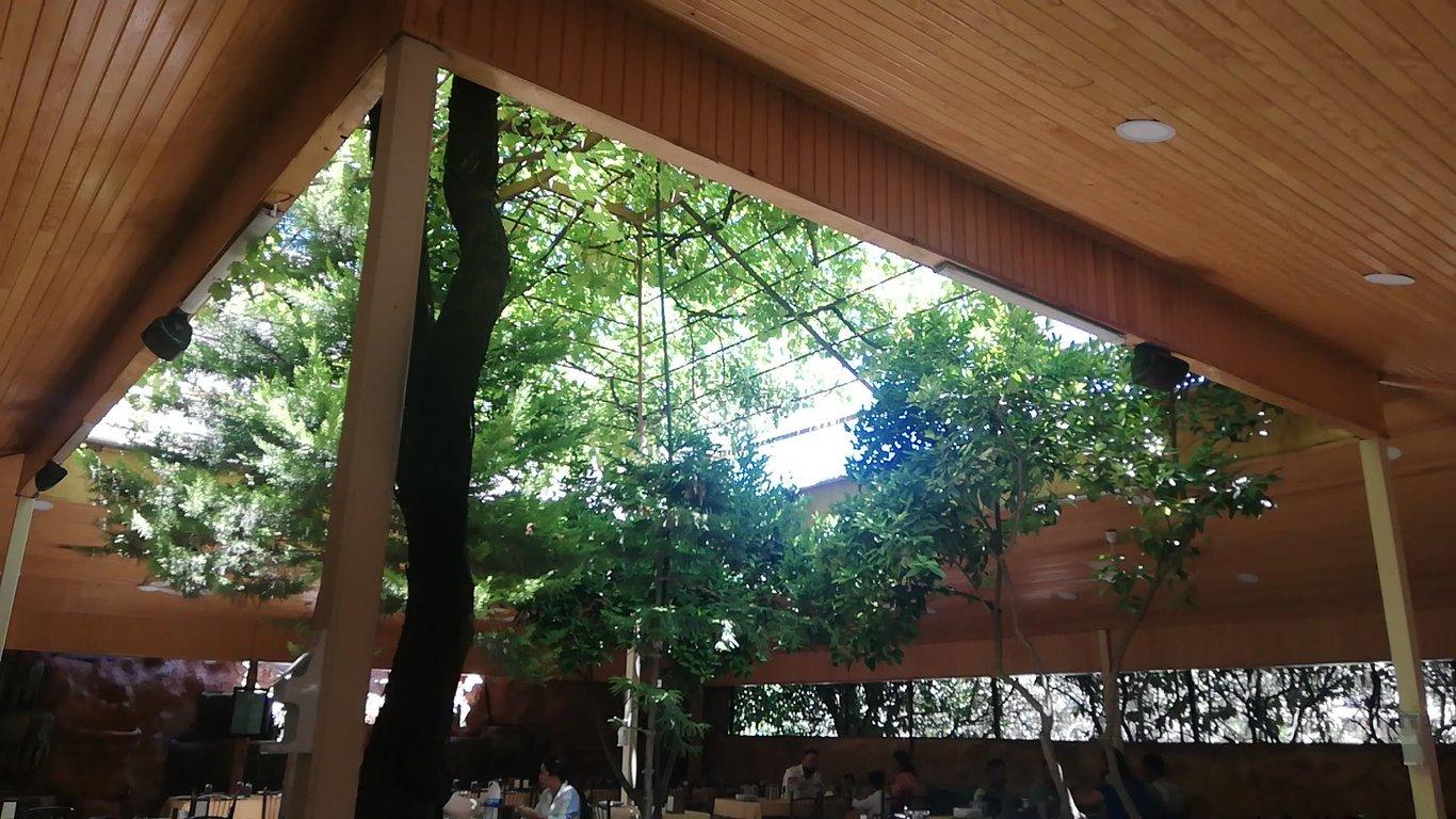 Alican Restaurant fotoğraf 7