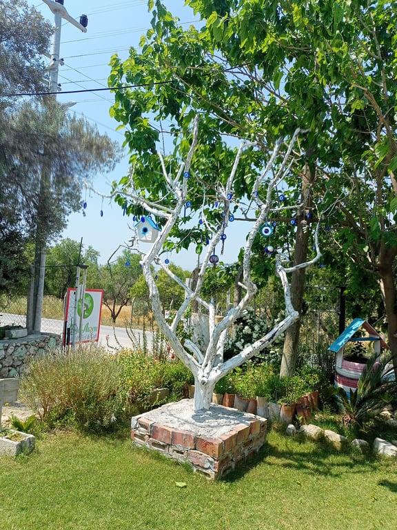 Doğal Annem Kahvaltı Evi fotoğraf 8