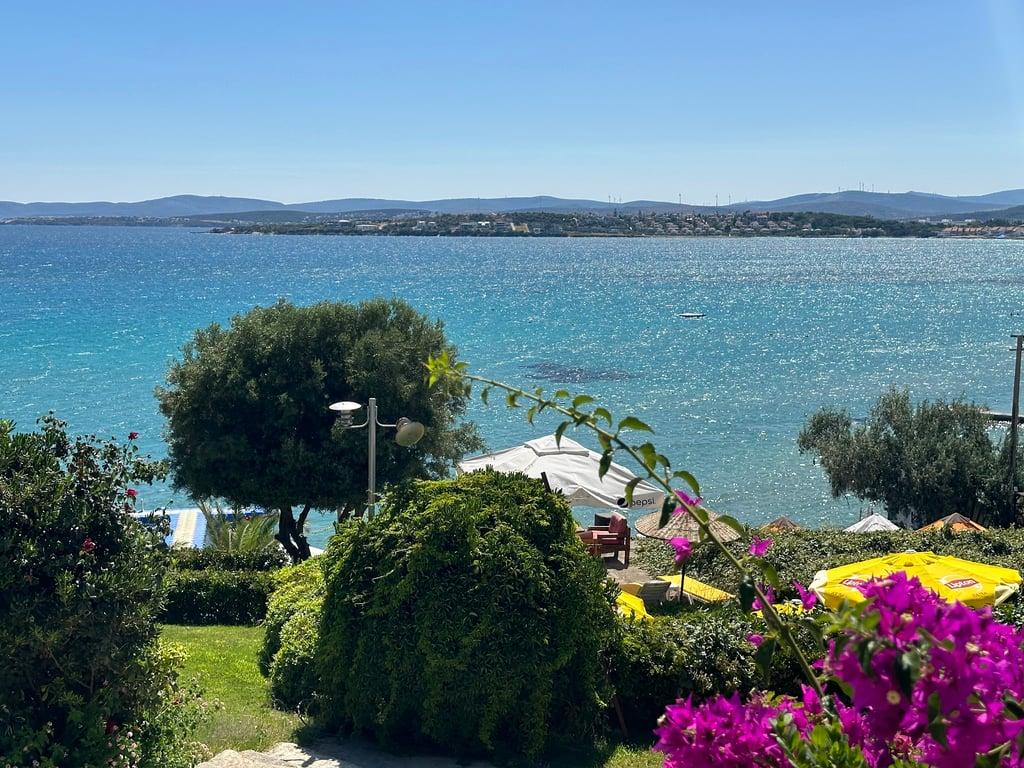 Bonjour Beach fotoğraf 4