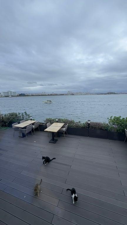 Deniz Kalbi Restaurant fotoğraf 7