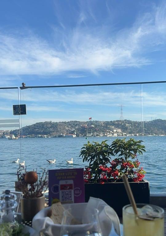 Divan Brasserie Bebek fotoğraf 20