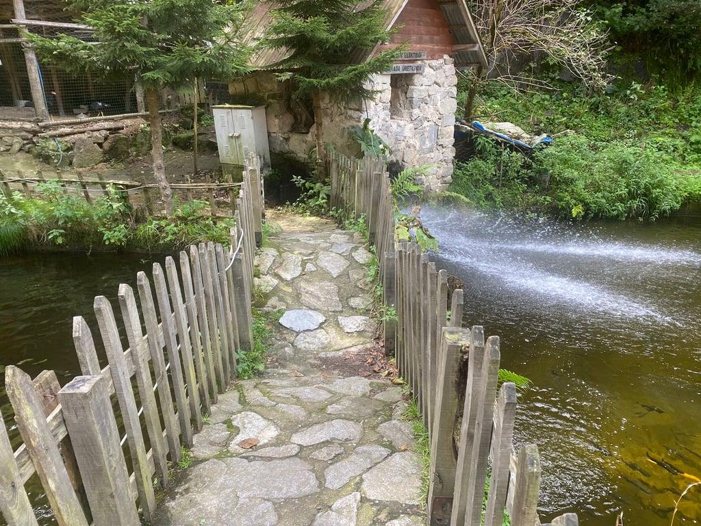 Ayder Alabalık Çiftliği Ve Dinlenme Tesisleri fotoğraf 4