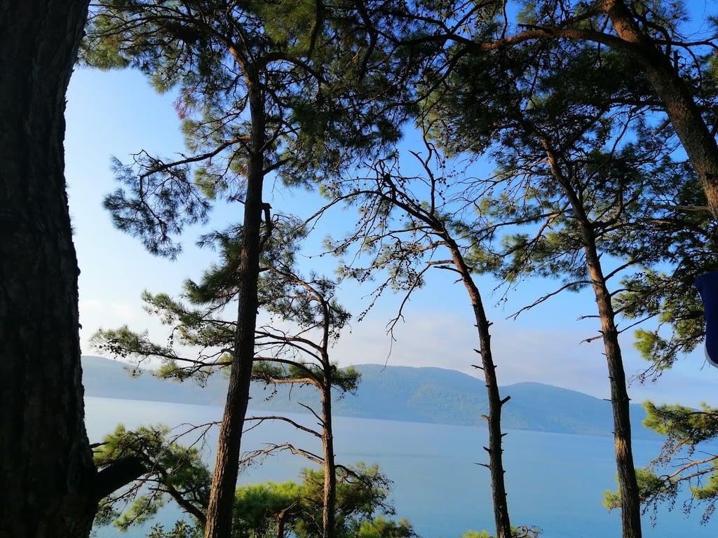 Akyaka Orman Kampi Restorani fotoğraf 13