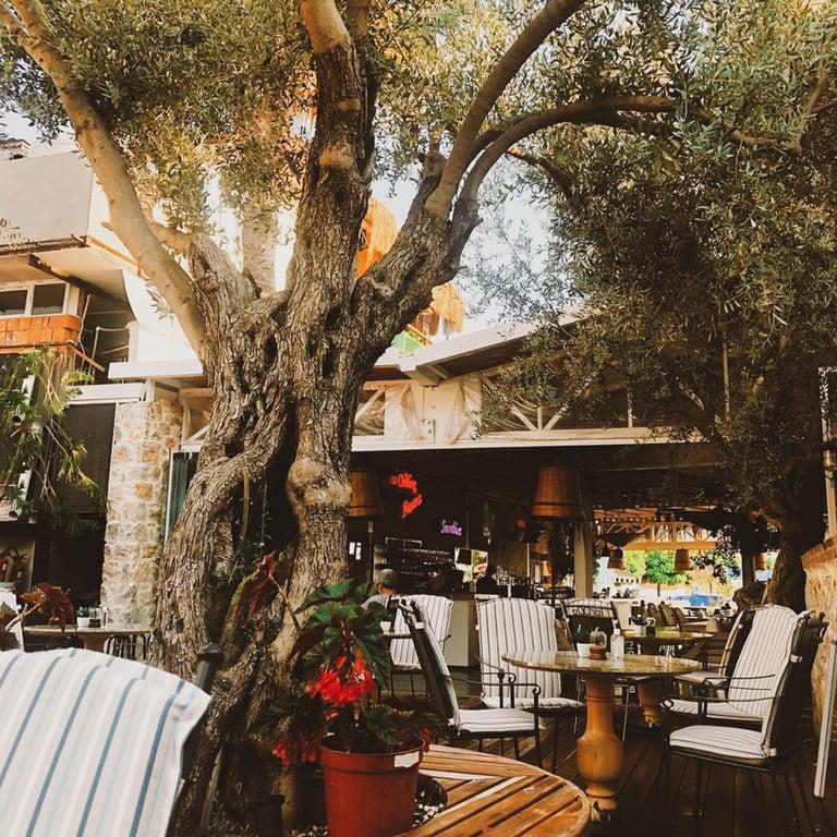 Bella Gusto fotoğraf 17