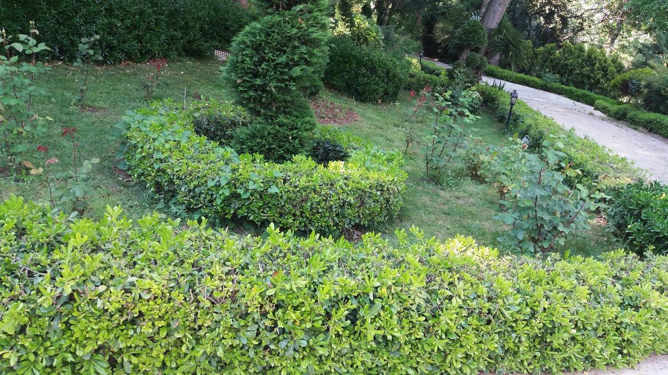 Fransız Bahçeleri fotoğraf 16