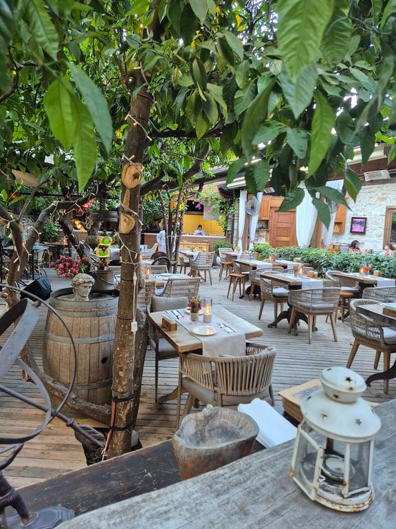 İstifçi Urla fotoğraf 11