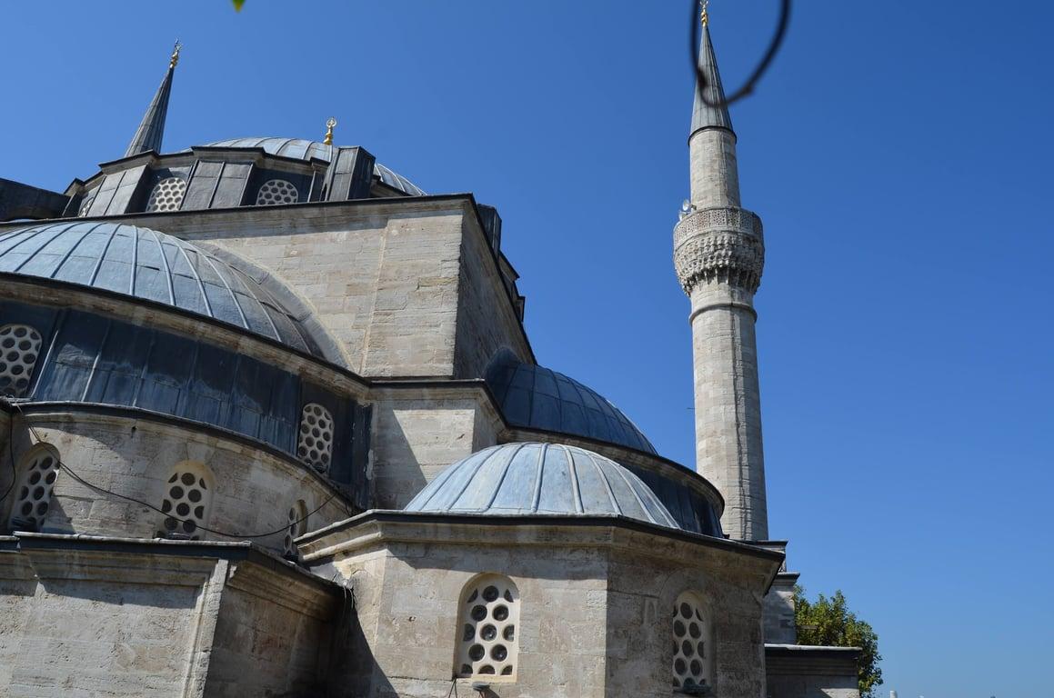 Payedar Kahve fotoğraf 13