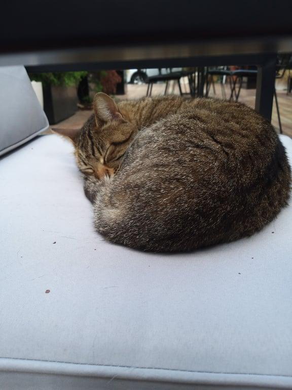 Leyla fotoğraf 2