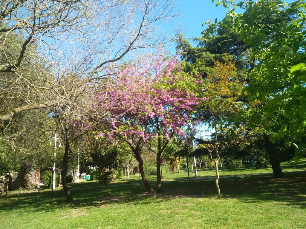 Fenerbahçe Parkı fotoğraf 15