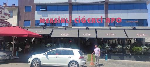 Mersinli Ciğerci Apo fotoğraf 6