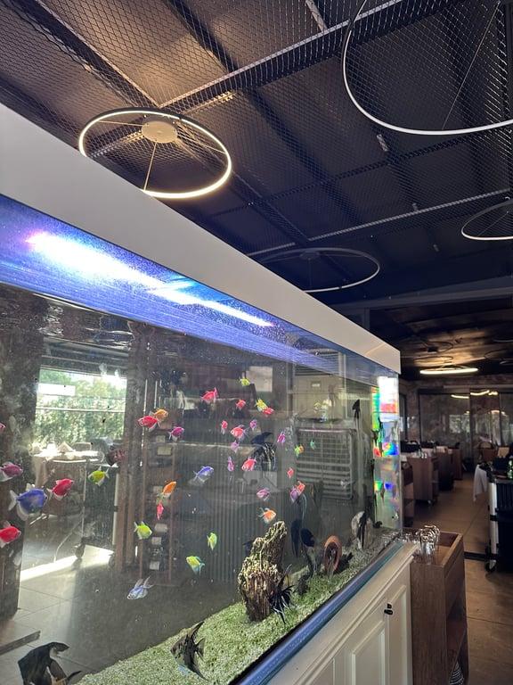 Adab-ı Balık Fish Restaurant fotoğraf 3
