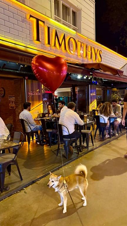Timothy's Cafe & Bistro fotoğraf 7