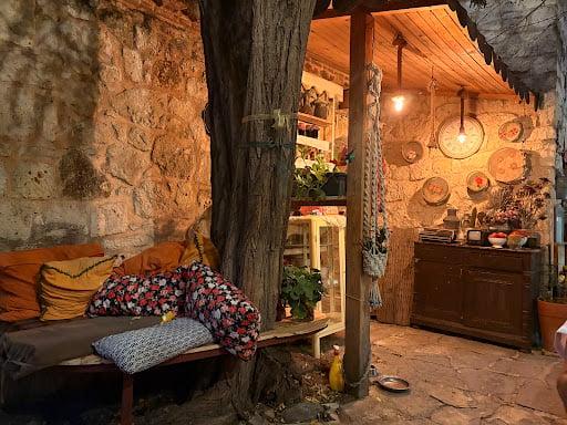 Salkım Söğüt Alacatı fotoğraf 9