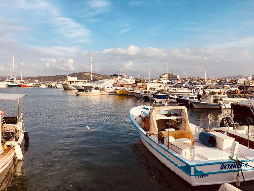 Deca Yıldızburnu fotoğraf 6