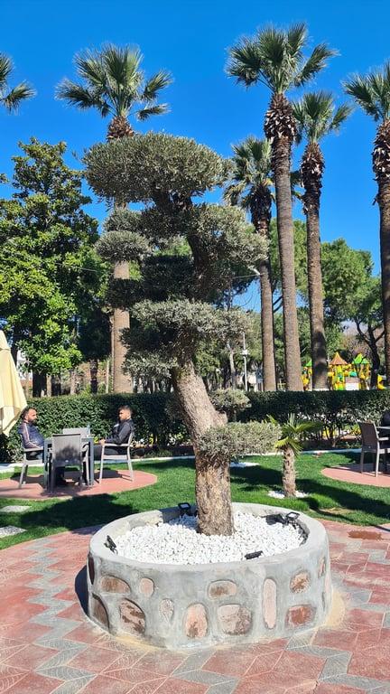 Park Kafe fotoğraf 16