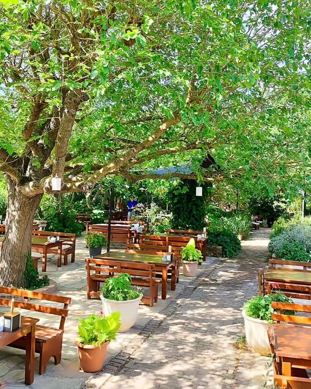 Yörük Aile Evi fotoğraf 5