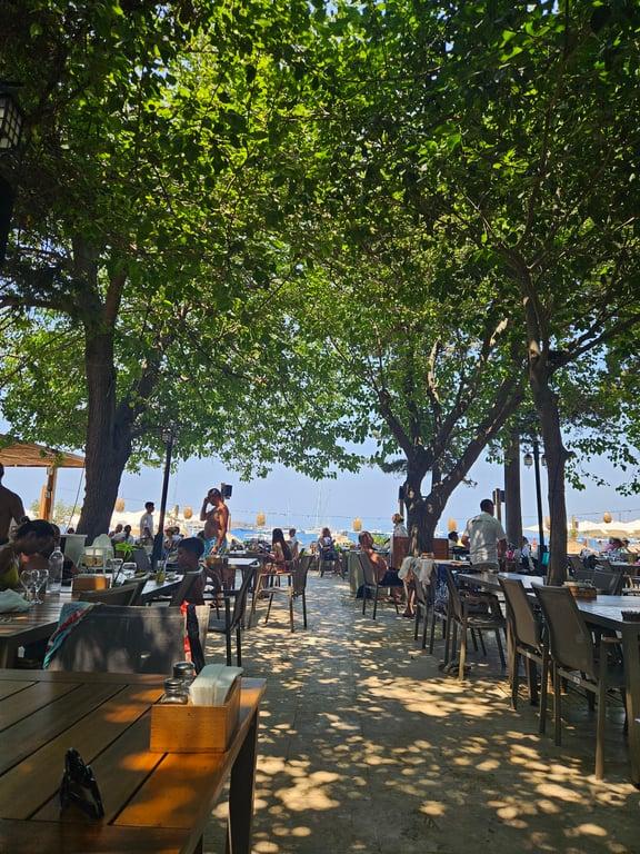 Orkide Balık Restaurant & Otel fotoğraf 10