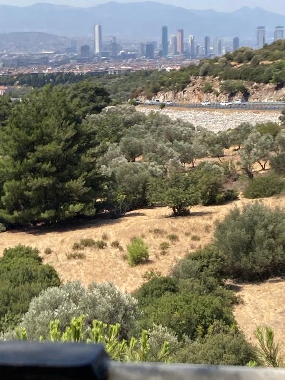 Vebaş fotoğraf 9