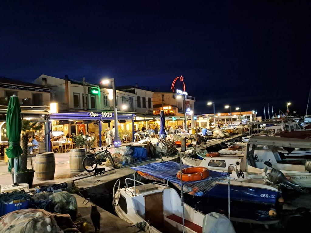 S.A.H.İ.L. Urla fotoğraf 8