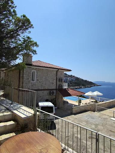 Oburus Momus fotoğraf 8