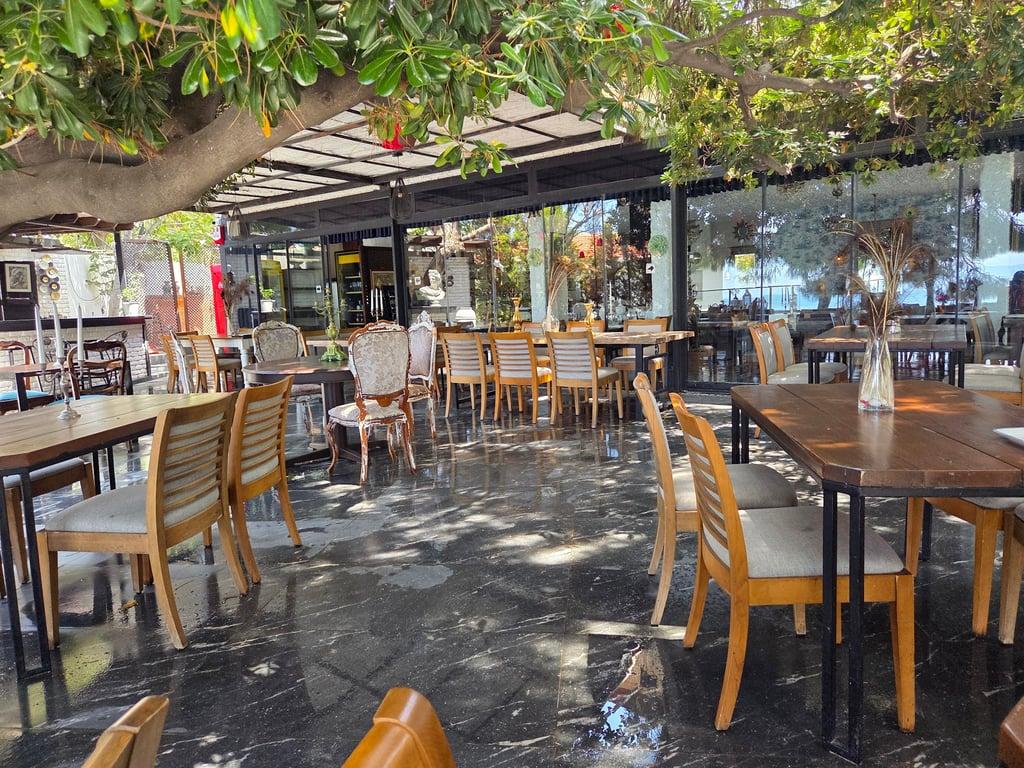 Seçkin Saklı Bahçe fotoğraf 4
