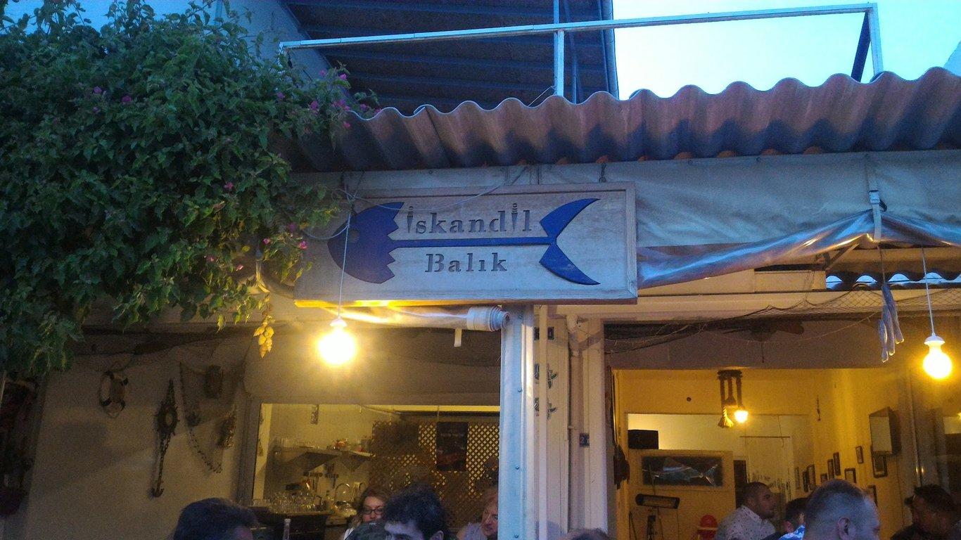 İskandil Balık fotoğraf 13