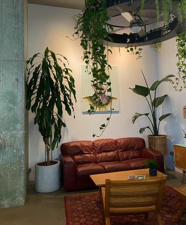 Fern Mediterranean Eatery fotoğraf 2