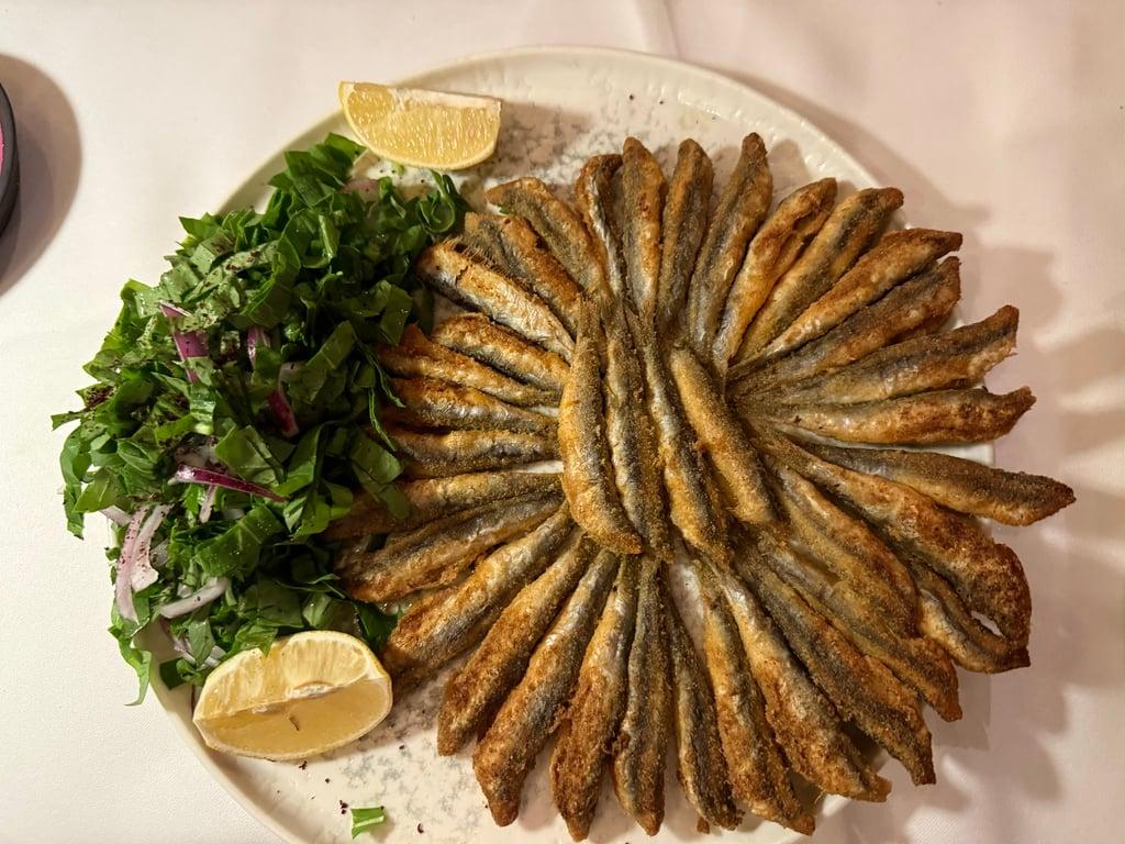 Göz Balık Lara fotoğraf 24