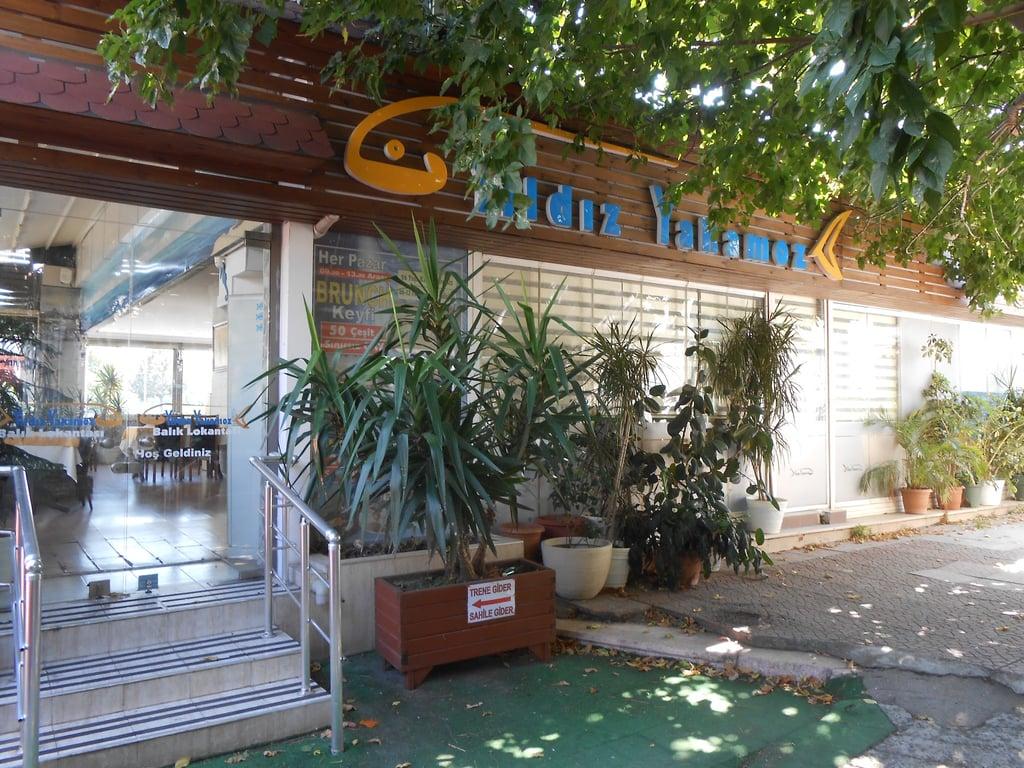 Yıldız Yakamoz Balık Restaurant fotoğraf 17