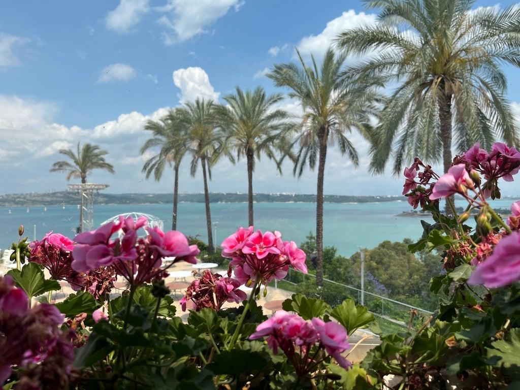 Emirgan Sütiş Park Zirve fotoğraf 11