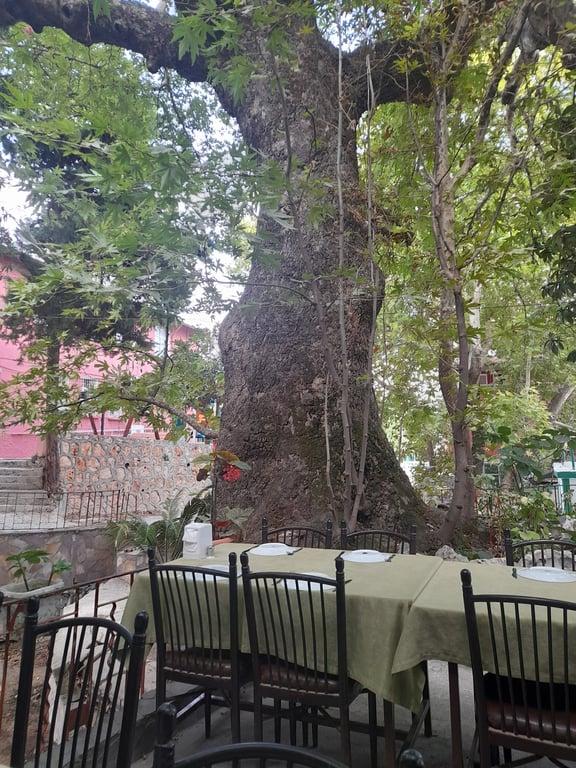 HAMMUŞUN YERİ YAĞMUR KAHVALTI SALONU fotoğraf 7