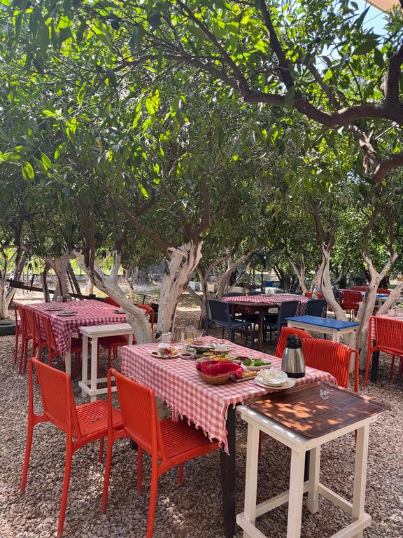 Kuytu Bahçe Bodrum fotoğraf 6