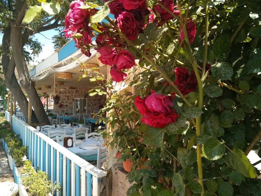 Şef Mehmet'in Balık Evi fotoğraf 7
