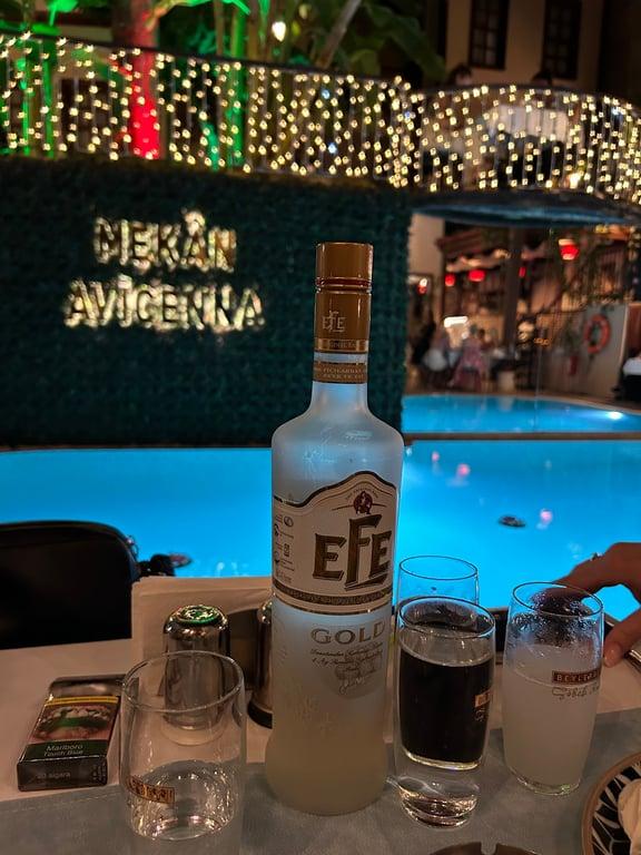 Mekan Avicenna fotoğraf 13