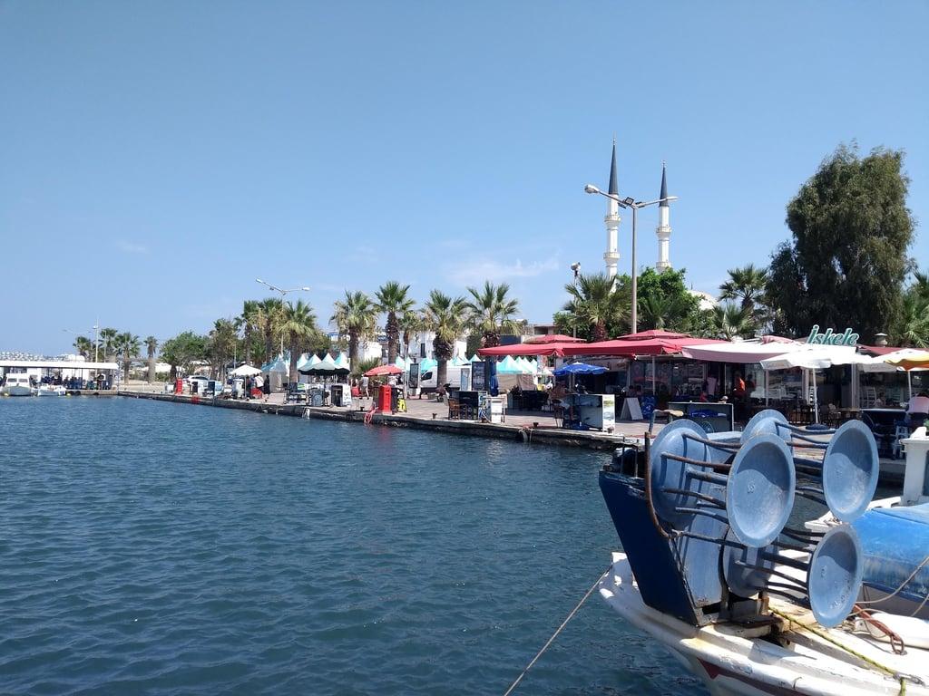 Turgutreis Amiral Cafe fotoğraf 6