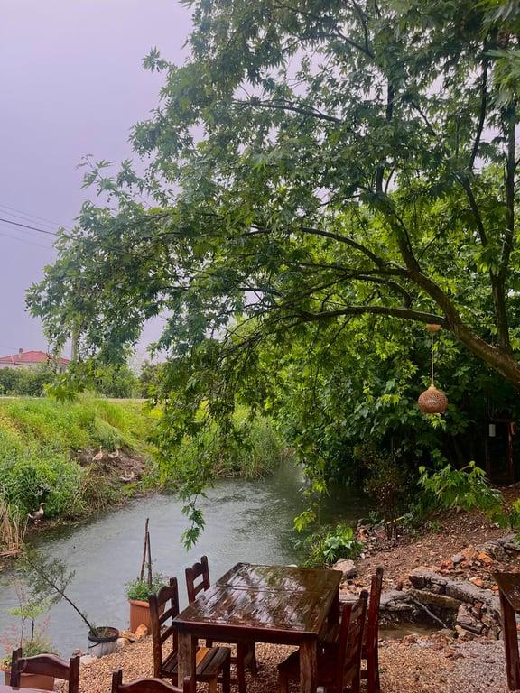 Idyma Restaurant fotoğraf 10