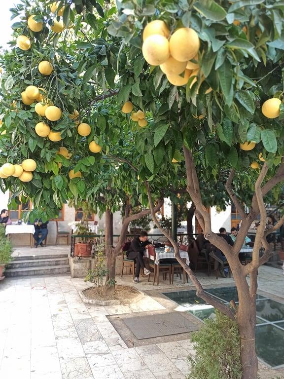 Antakya Kahvaltı Evi (Hatay Sultan Sofrası) fotoğraf 10