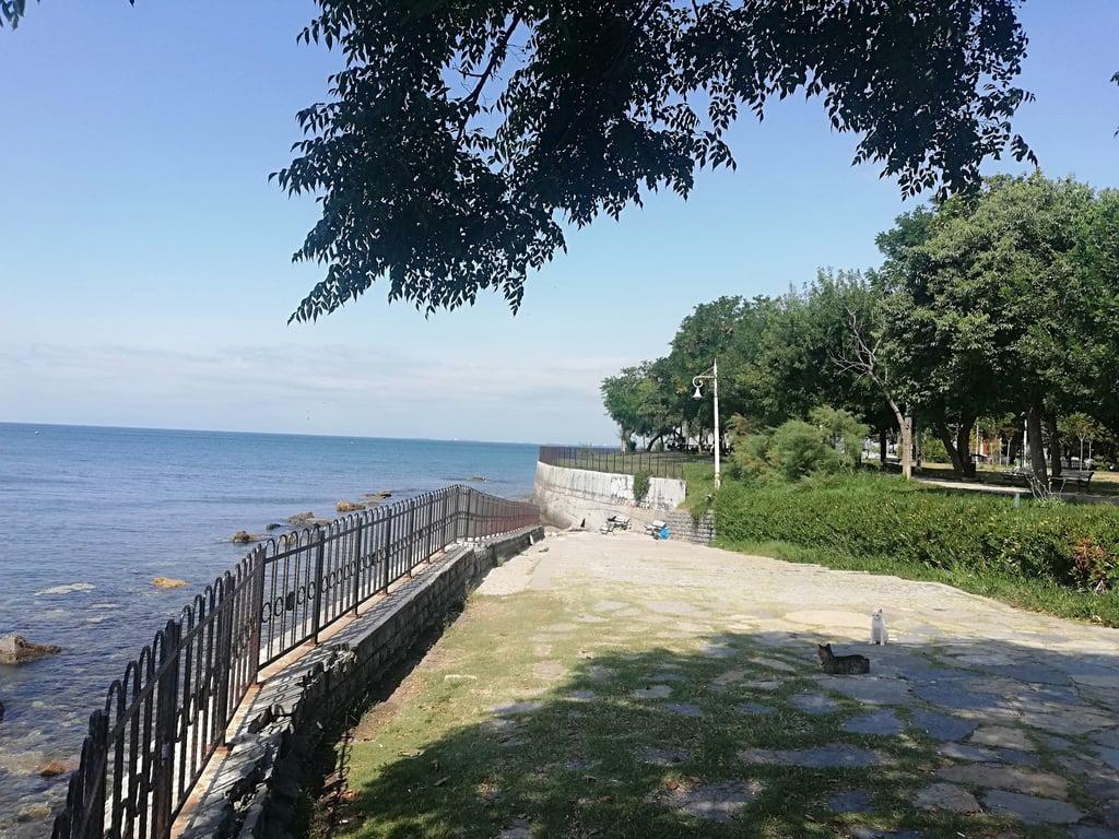 Fenerbahçe Parkı fotoğraf 20