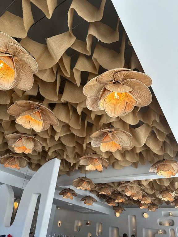 Pita Lara Konyaaltı fotoğraf 4
