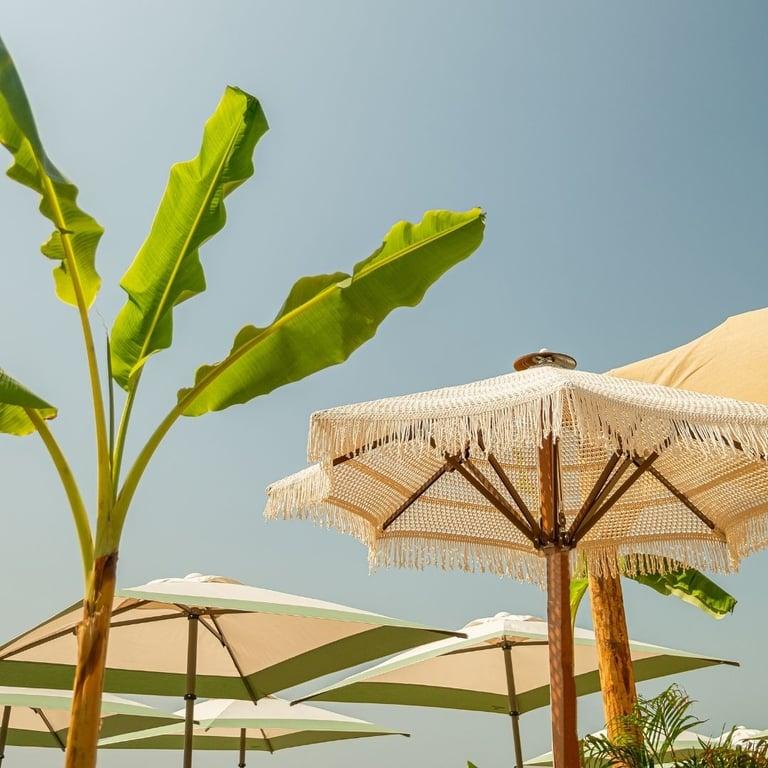 Shakespeare Beach fotoğraf 8
