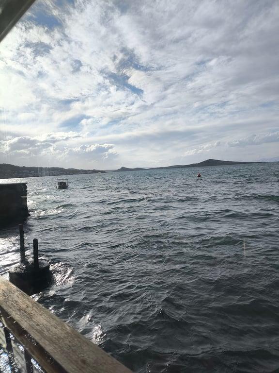 Ayvalık Deniz Yıldızı Restoran fotoğraf 11