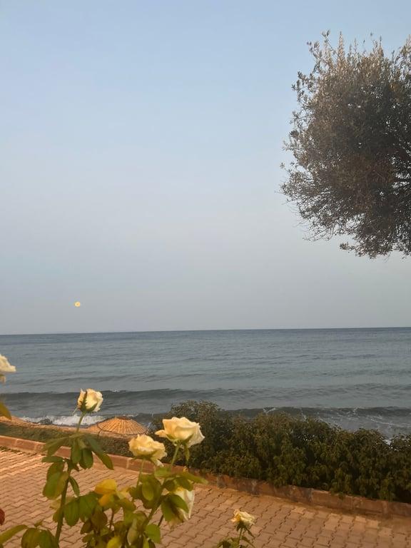 Assos Oveliskos Restaurant fotoğraf 13