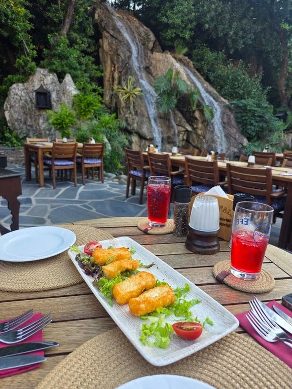 Waterfall Restaurant fotoğraf 1