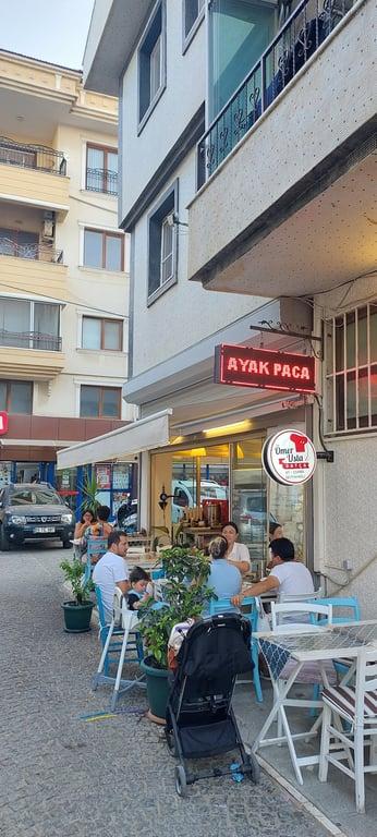 ÖMER USTA DATÇA fotoğraf 2
