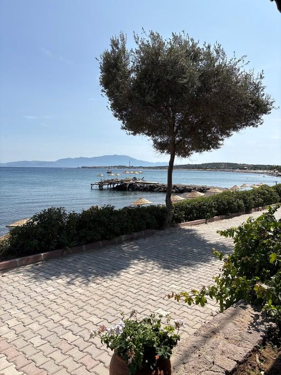 Assos Oveliskos Restaurant fotoğraf 8