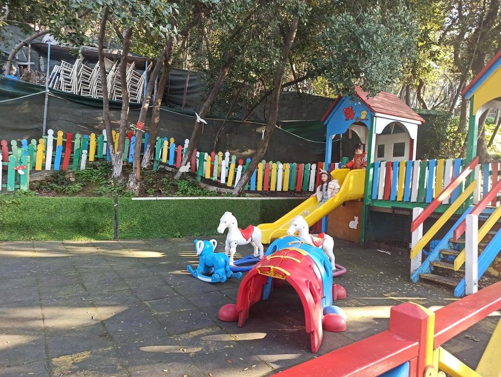 YEŞİL MAVİ CAFE fotoğraf 15