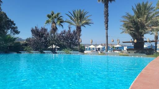 Flamm Bodrum fotoğraf 3