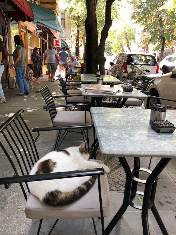 Aliki Cafe Kuzguncuk fotoğraf 7